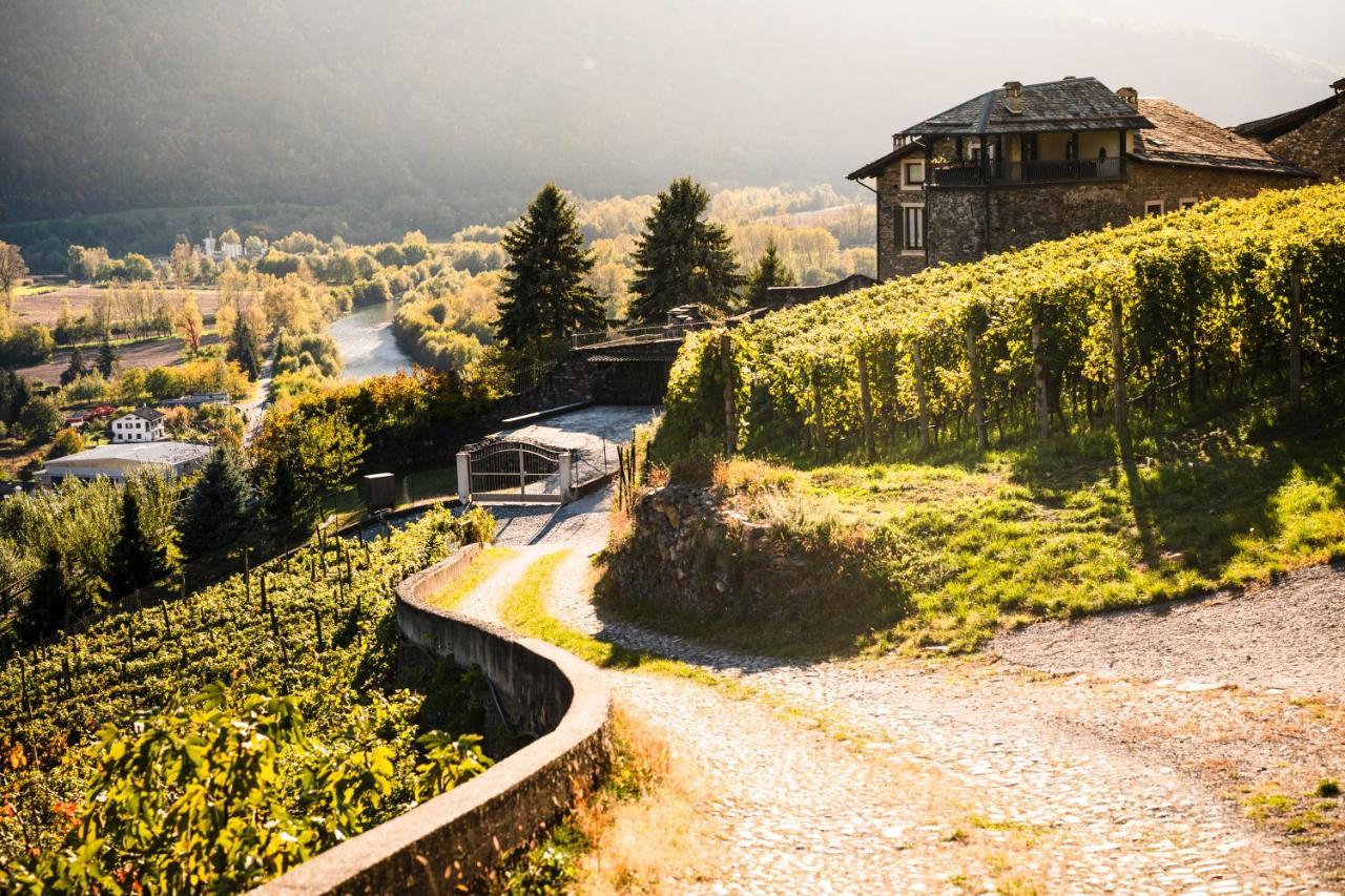 Villa Del Lupo: Crown Of The Valtellina Tresenda Exterior foto