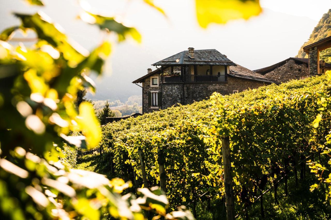 Villa Del Lupo: Crown Of The Valtellina Tresenda Exterior foto